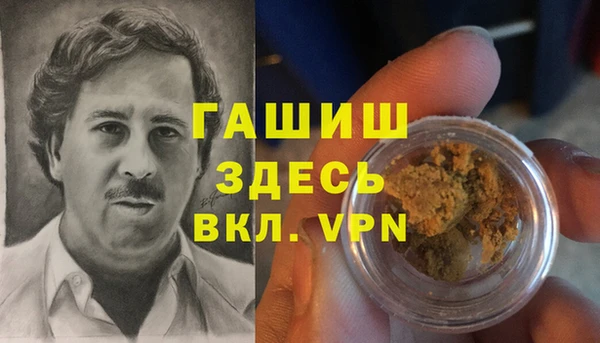 сатива Армянск